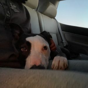 Meet your Posher, Viviana